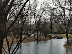 -上海共青森林公园