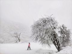 -太子岭滑雪场