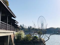 -无锡蠡湖国家湿地公园-蠡园