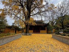 -苏州上方山国家森林公园