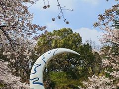 -杭州少年儿童公园