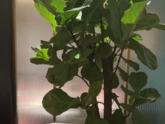 -徐记海鲜(曲江南湖店)