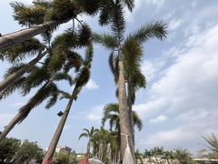 -台山颐和温泉城