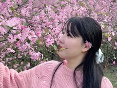 -洛阳市隋唐城遗址植物园