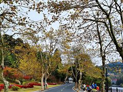 -庐山风景区花径公园