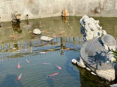 -凤凰山公园-龙王古庙