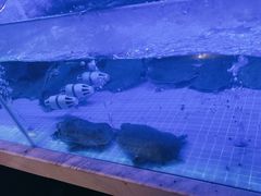 -王捌小院(红花坡店)
