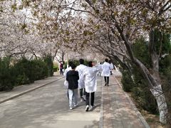 -山东师范大学(千佛山校区)