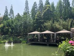 -茅庐·川粤精品私房菜(金沙遗址店)