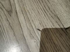 -为公商旅酒店(北京大学口腔医院魏公村总院店)