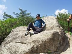 -王顺山国家森林公园