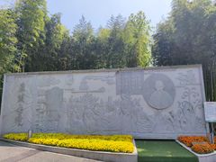 -陈家山荷花公园