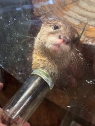 -Zoolung Zoolung动物主题公园(海信广场店)