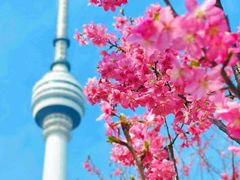 -龟山风景区-龟山电视塔