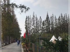 -前小桔亲子创意农场·草莓采摘·露营烧烤