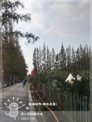 点击看大图 -前小桔亲子创意农场·草莓采摘·露营烧烤