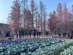 -乌村