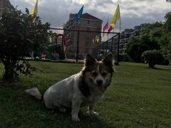 -华唐苑