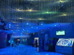-海合安青岛极地海洋公园
