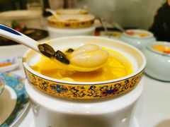 -肆月河豚·新淮扬(金融街店)
