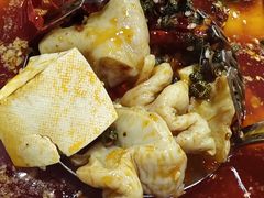 -韩妹鱼庄·泸定老字号(泸定店)