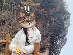 -牛背梁国家森林公园