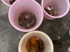 -庆余生平价生猛海鲜(海棠湾林旺夜市店)