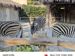 -上海野生动物园