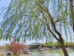 -兴芮温泉度假区