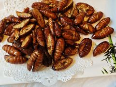 -宾朋海鲜特色美食餐厅·纯手工鲅鱼水饺(兴海路店)