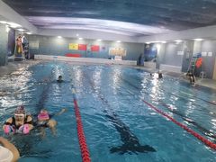 -阳光国际游泳培训基地