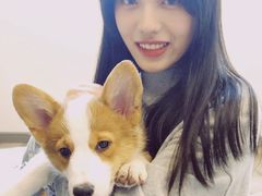 -浣熊柯尔鸭土拨鼠·电玩咖
