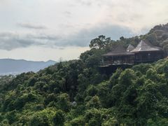 -三亚亚龙湾人间天堂鸟巢度假村