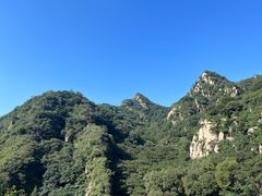 -大岭沟猕猴桃谷风景区