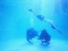 -上海潜殿潜水中心