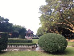 -中山大学学者灵芝(园南路店)
