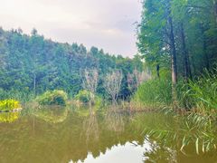 -捞渔河湿地公园
