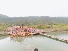 -杨梅坑