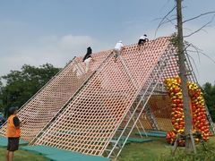 -侎宝运动成长中心(嘉定大融城店)