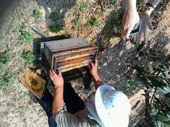 android_upload_pic-月亮湾公园