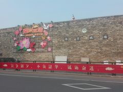 -建华生态湿地百荷园