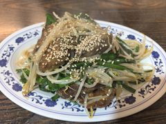 -拉面莊夢語＆中华料理八椿