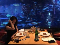 -迪拜帆船酒店海底餐厅