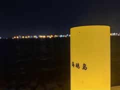 -海鸥岛