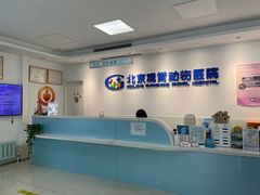 -北京观赏动物医院·24小时大型综合·猫专科·异宠专科