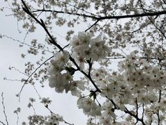 -漕湖湿地公园