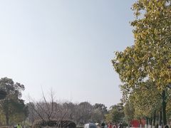-艾溪湖湿地公园