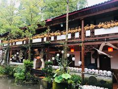 -青城甲(青城山店)