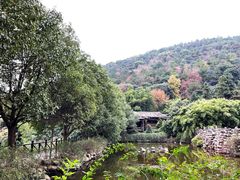 -九龙潭景区