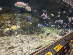 -江和美海洋公园